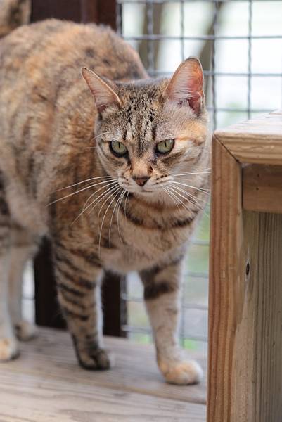 20160322114142_IMG_3649.JPG 20160322114142_IMG_3649.JPG