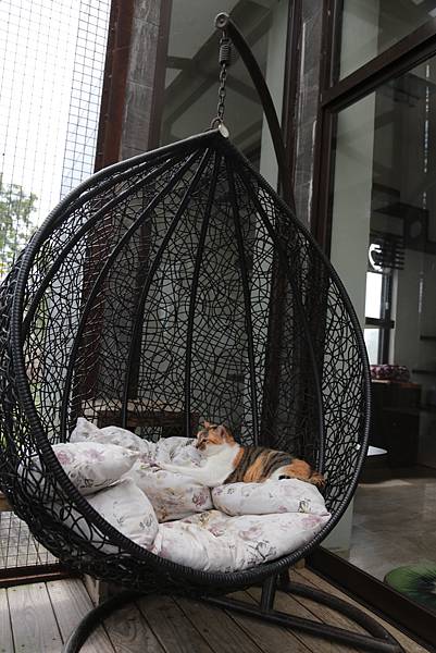 20160322114157_IMG_3652.JPG 20160322114157_IMG_3652.JPG