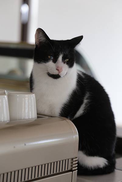 20160322114615_IMG_3662.JPG 20160322114615_IMG_3662.JPG