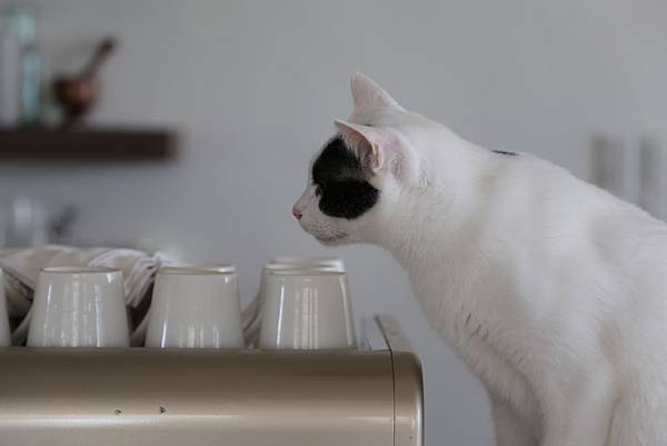 20160322114810_IMG_3665.JPG 20160322114810_IMG_3665.JPG