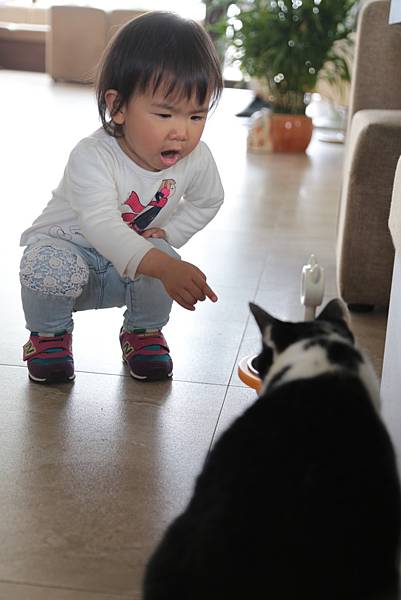 20160322114851_IMG_3686.JPG 20160322114851_IMG_3686.JPG