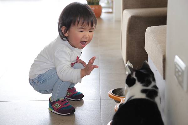 20160322114909_IMG_3693.JPG 20160322114909_IMG_3693.JPG