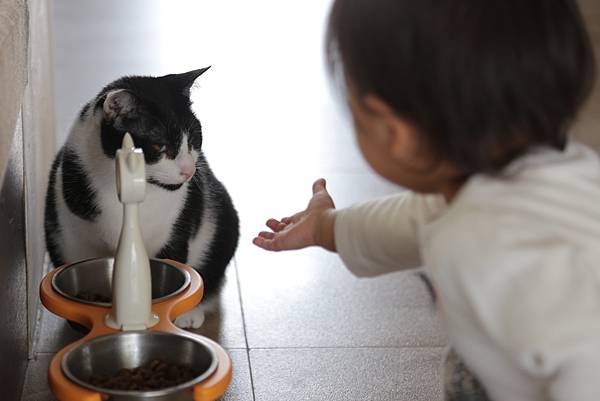 20160322114940_IMG_3703.JPG 20160322114940_IMG_3703.JPG