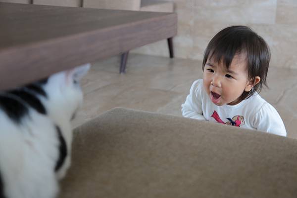 20160322115049_IMG_3712.JPG 20160322115049_IMG_3712.JPG