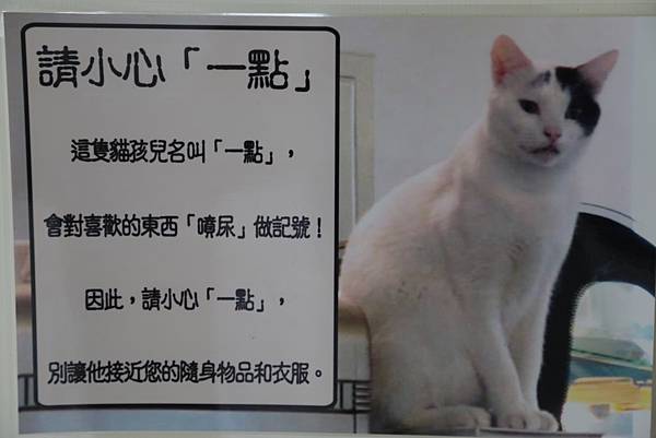 20160322115139_IMG_3730.JPG 20160322115139_IMG_3730.JPG