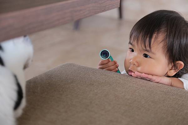 20160322115212_IMG_3738.JPG 20160322115212_IMG_3738.JPG