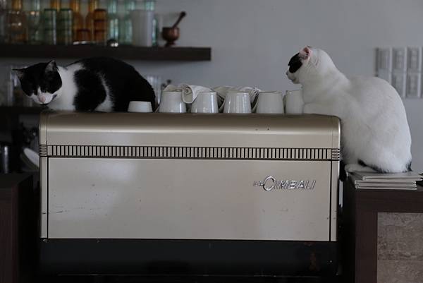 20160322115226_IMG_3751.JPG 20160322115226_IMG_3751.JPG