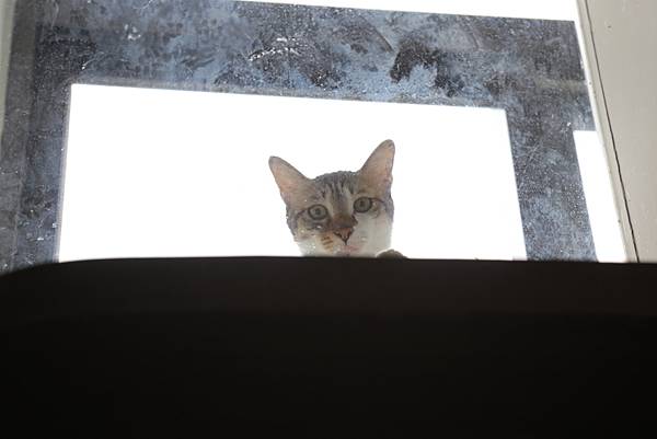 20160322115835_IMG_3769.JPG 20160322115835_IMG_3769.JPG