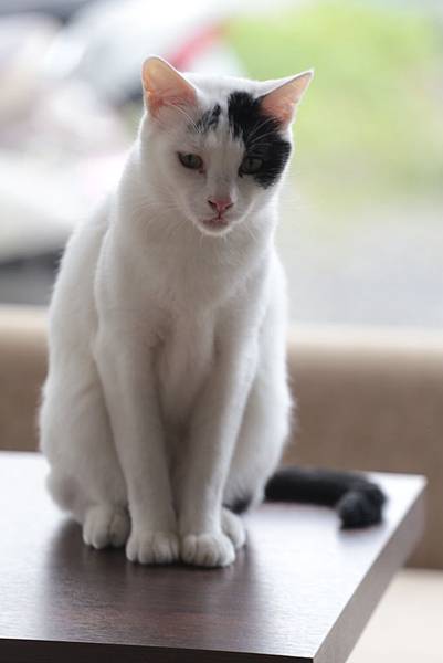 20160322120540_IMG_3851.JPG 20160322120540_IMG_3851.JPG