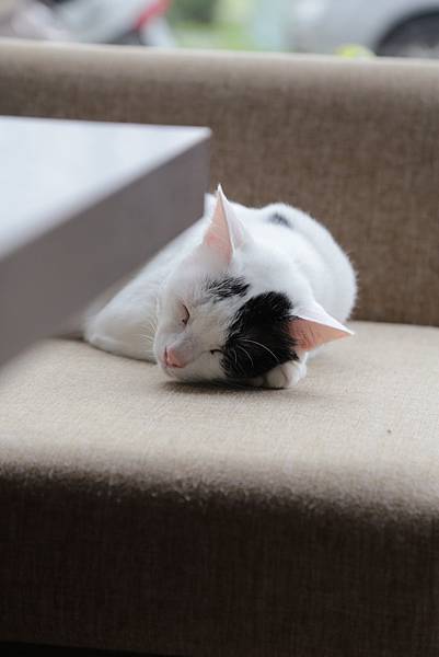 20160322125036_IMG_3953.JPG 20160322125036_IMG_3953.JPG