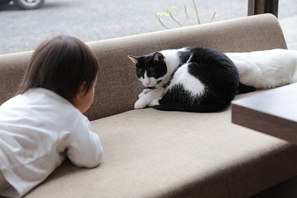 20160322125633_IMG_3970.JPG 20160322125633_IMG_3970.JPG