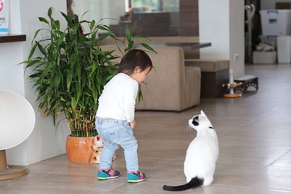 20160322125919_IMG_3992.JPG 20160322125919_IMG_3992.JPG