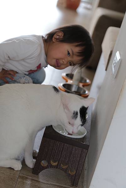 20160322130231_IMG_4002.JPG 20160322130231_IMG_4002.JPG