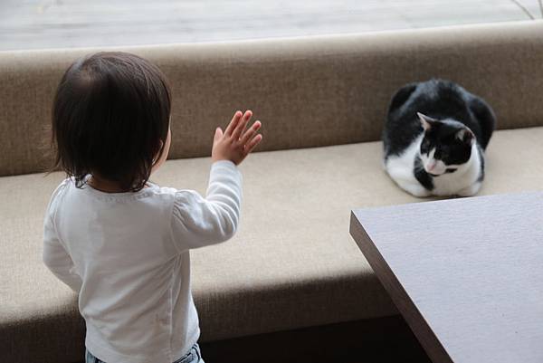 20160322130734_IMG_4013.JPG 20160322130734_IMG_4013.JPG