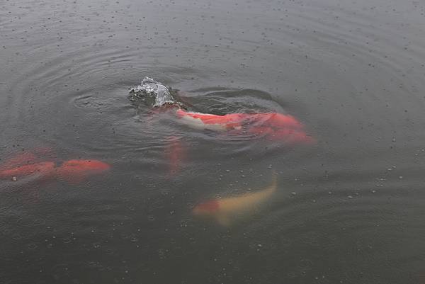 20160322142227_IMG_4067.JPG 20160322142227_IMG_4067.JPG