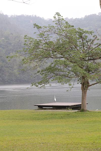 20160322142055_IMG_4056.JPG 20160322142055_IMG_4056.JPG