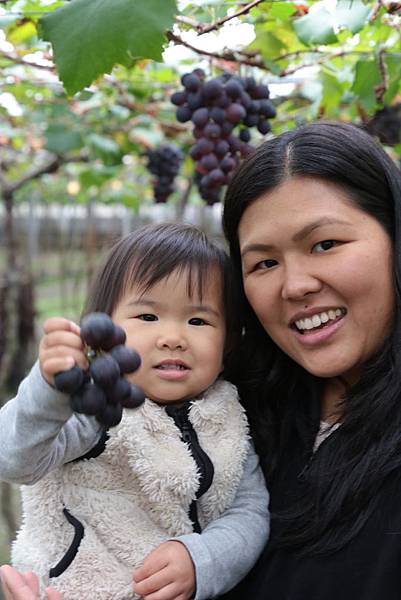 20160324110038_IMG_5700.JPG 20160324110038_IMG_5700.JPG