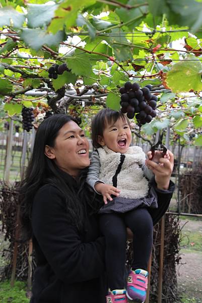 20160324110337_IMG_5714.JPG 20160324110337_IMG_5714.JPG