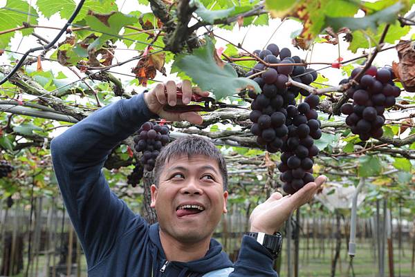 20160324110258_IMG_5708.JPG 20160324110258_IMG_5708.JPG