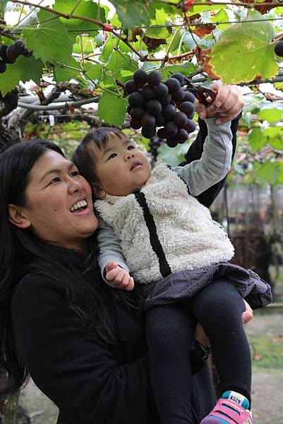 20160324110354_IMG_5727.JPG 20160324110354_IMG_5727.JPG