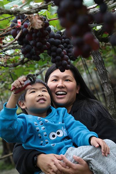 20160324110502_IMG_5738.JPG 20160324110502_IMG_5738.JPG