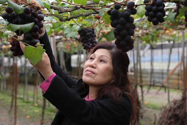 20160324110751_IMG_5776.JPG 20160324110751_IMG_5776.JPG