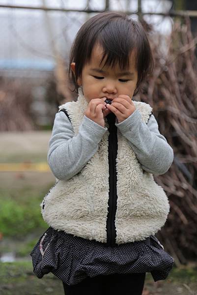 20160324111418_IMG_5826.JPG 20160324111418_IMG_5826.JPG