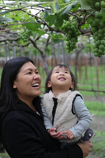 20160324111948_IMG_5917.JPG 20160324111948_IMG_5917.JPG