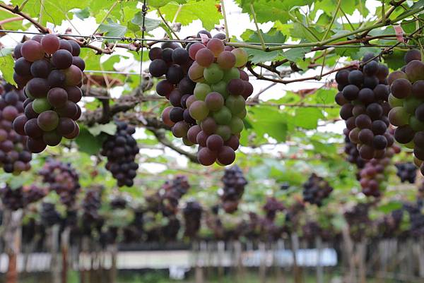 20160324112436_IMG_5967.JPG 20160324112436_IMG_5967.JPG