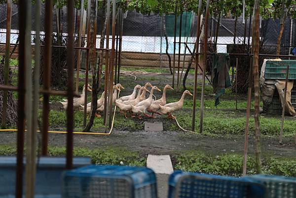 20160324112143_IMG_5948.JPG 20160324112143_IMG_5948.JPG