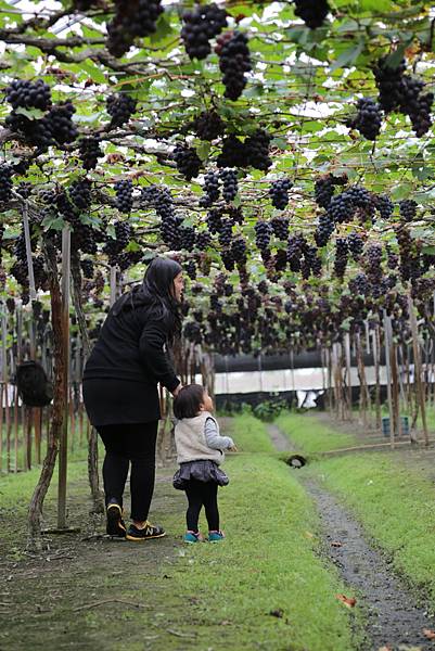 20160324113222_IMG_6083.JPG 20160324113222_IMG_6083.JPG