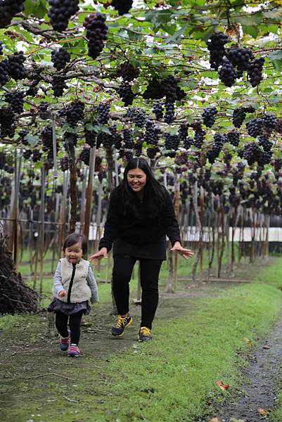 20160324113248_IMG_6102.JPG 20160324113248_IMG_6102.JPG