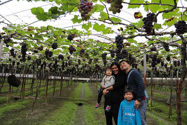 20160324112742_IMG_6012.JPG 20160324112742_IMG_6012.JPG