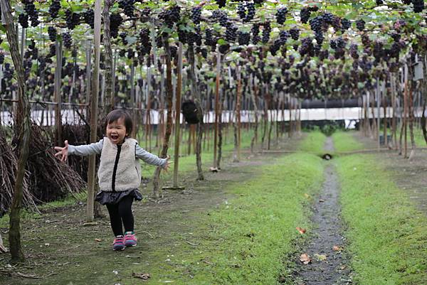 20160324113318_IMG_6127.JPG 20160324113318_IMG_6127.JPG