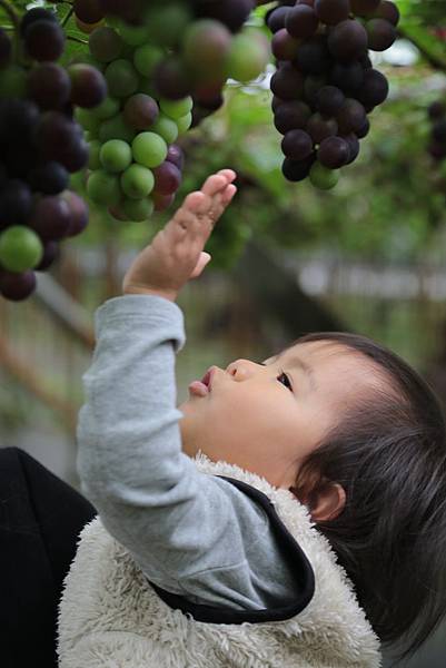 20160324113442_IMG_6151.JPG 20160324113442_IMG_6151.JPG