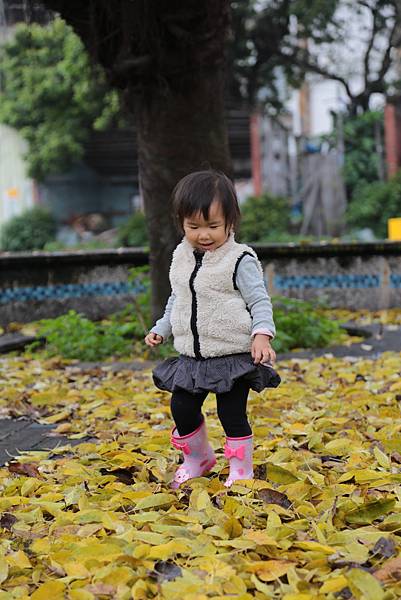 20160324120144_IMG_6217.JPG 20160324120144_IMG_6217.JPG