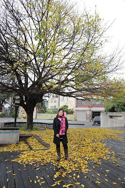 20160324120736_IMG_6461.JPG 20160324120736_IMG_6461.JPG