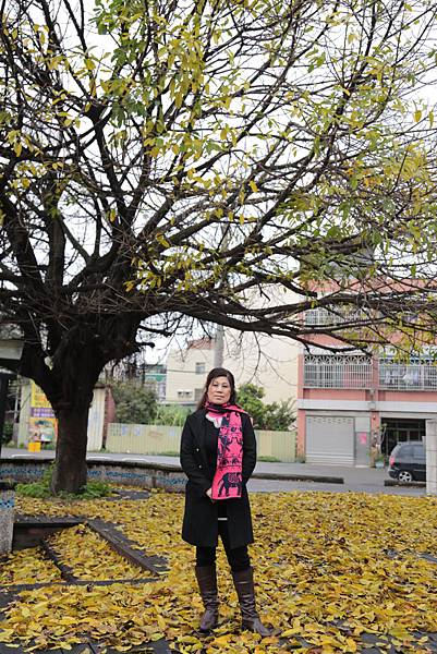 20160324120737_IMG_6462.JPG 20160324120737_IMG_6462.JPG