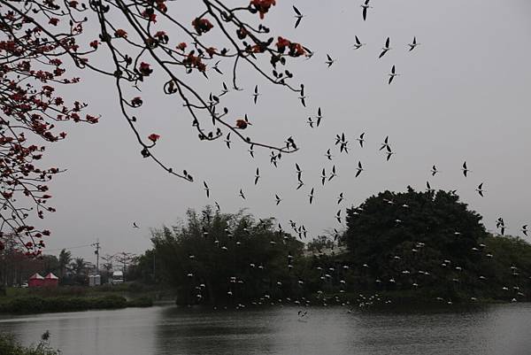 20160324144943_IMG_6750.JPG 20160324144943_IMG_6750.JPG