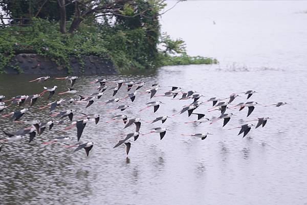 20160324145902_IMG_7204.JPG 20160324145902_IMG_7204.JPG