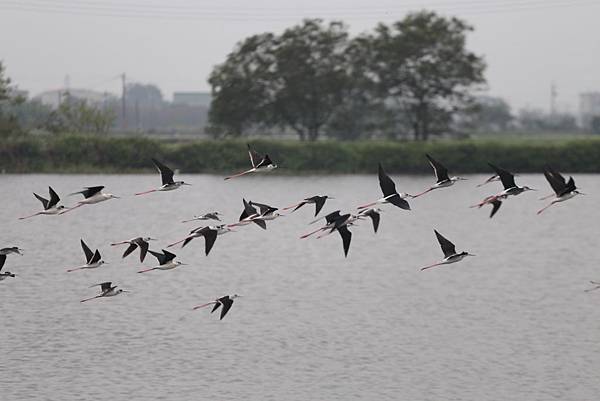 20160324145931_IMG_7242.JPG 20160324145931_IMG_7242.JPG