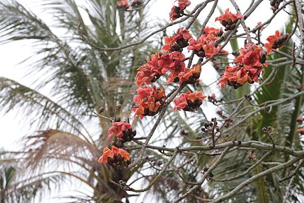 20160324151331_IMG_7338.JPG 20160324151331_IMG_7338.JPG