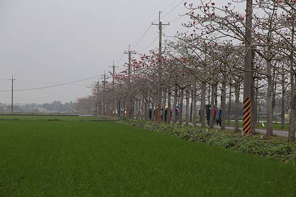 20160324151529_IMG_7343.JPG 20160324151529_IMG_7343.JPG