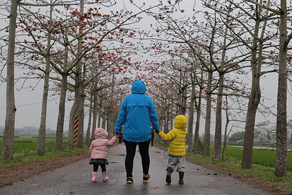 20160324151756_IMG_7358.JPG 20160324151756_IMG_7358.JPG