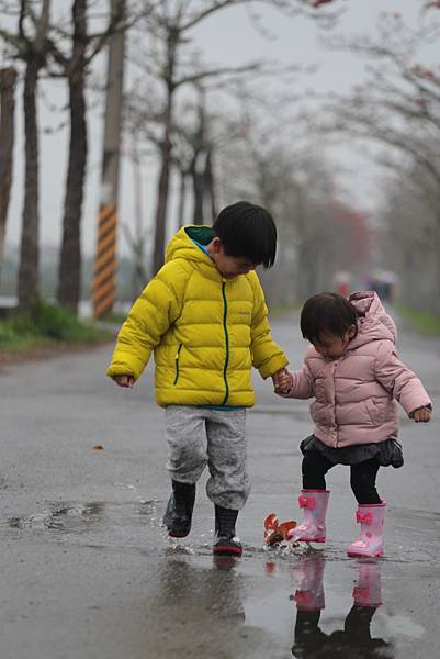 20160324152450_IMG_7467.JPG 20160324152450_IMG_7467.JPG