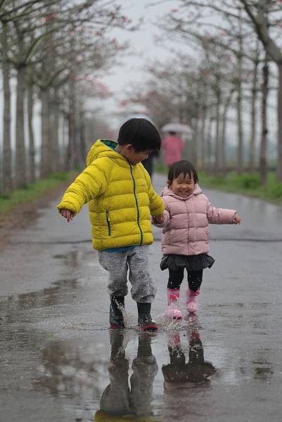 20160324152635_IMG_7542.JPG 20160324152635_IMG_7542.JPG