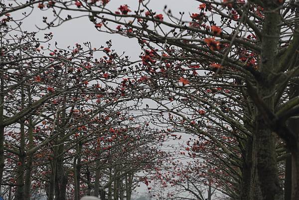 20160324152722_IMG_7550.JPG 20160324152722_IMG_7550.JPG