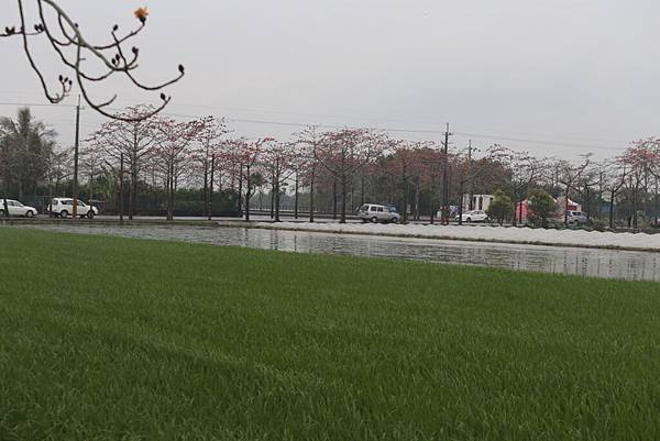 20160324152731_IMG_7551.JPG 20160324152731_IMG_7551.JPG