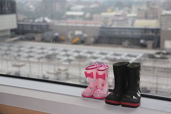 20160325082531_IMG_7984.JPG 20160325082531_IMG_7984.JPG