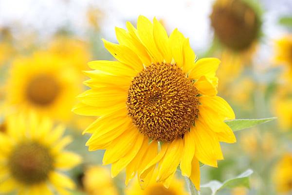 20160325163730_IMG_8050.JPG 20160325163730_IMG_8050.JPG